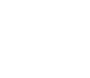 DPZ CoDesign Logo